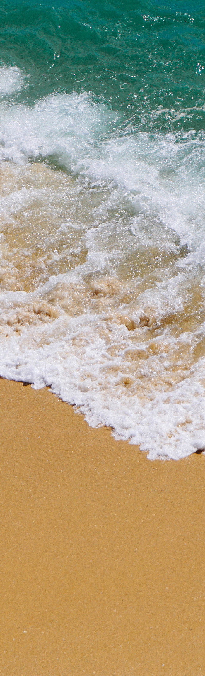 <h1>Frequently Asked Questions</h1>